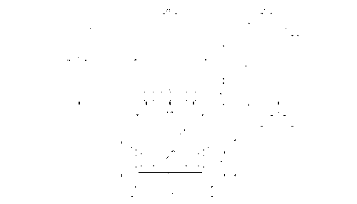 LEO 70 H/V - Gasspeis - Bilde 5